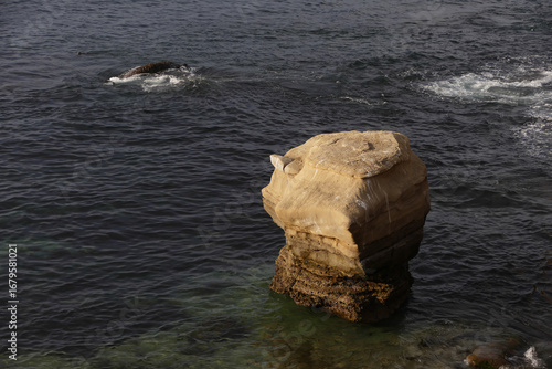 Standalone rock in pacific ocean wave