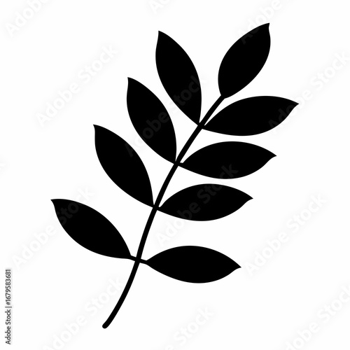 Elegant minimalistic black silhouette of a leafy branch on a white background