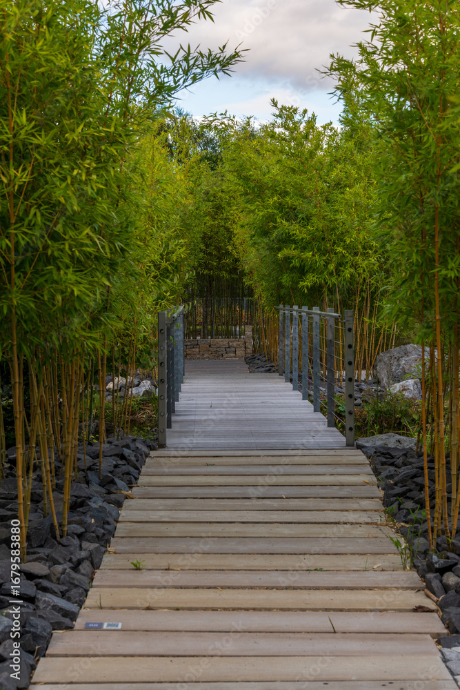Naklejka premium boardwalk in the park