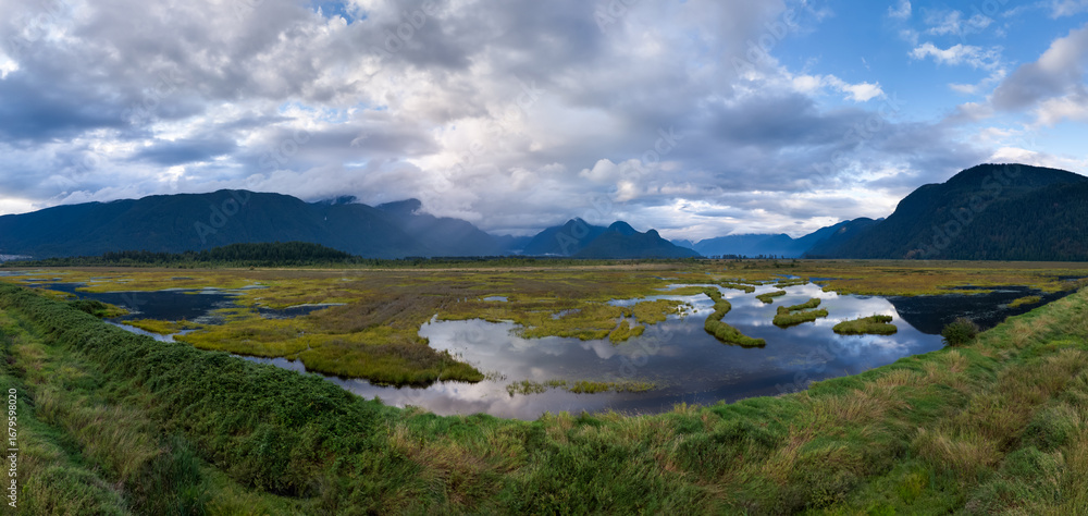 Obraz premium Scenic View of Marshland with Mountains in BC, Canada