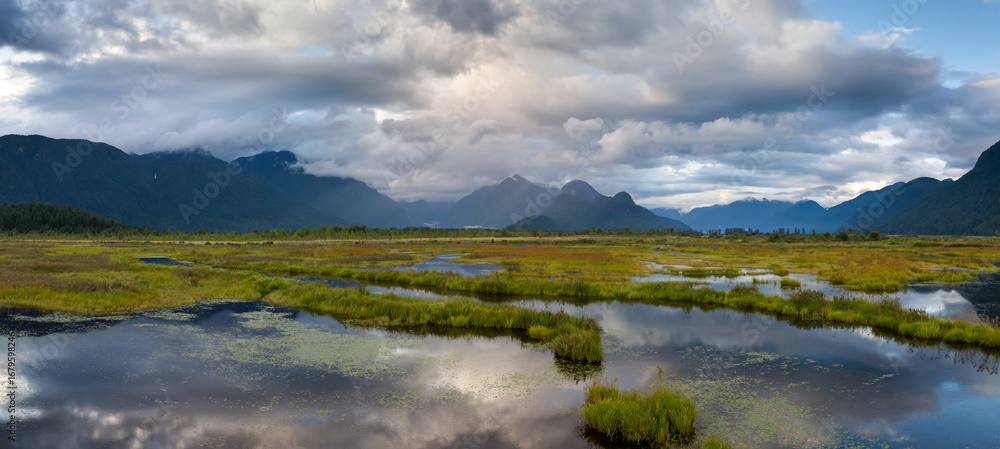 Obraz premium Scenic View of Marshland with Mountains Under Cloudy Sky in BC, Canada