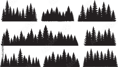 Pine and spruce tree silhouettes stand tall against a beautiful forest landscape with a cloudy sky