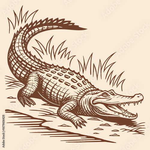 Hand-drawn vector illustration of a dangerous crocodile with a lizard-like design on a wild black background