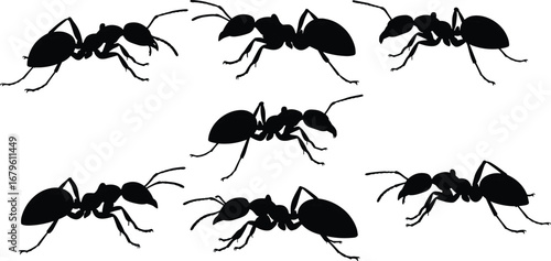 Silhouette vector illustration of ants in various walking poses, insect clipart design for nature, pest control, science, entomology, and educational themes