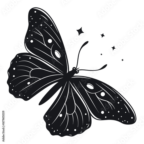 Butterfly wings glowing in aurora night silhouette