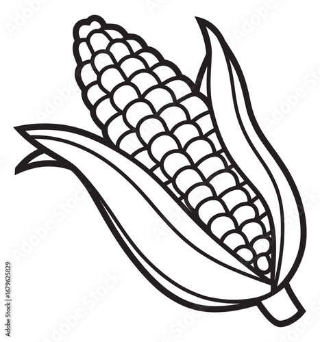 Vector Illustration of an Ear of Corn with Husk Leaves