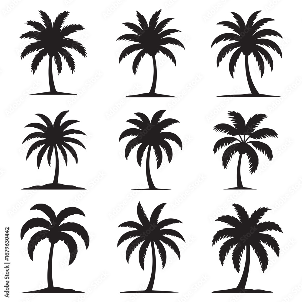 Naklejka premium Set Palm trees black silhouettes. Vector black silhouette. with white background