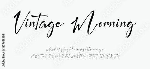 Hand drawn vector alphabet. Modern monoline signature script font. Elegant Signature Font. Best Alphabet Beautiful Calligraphy Signature Font. vector illustration 
