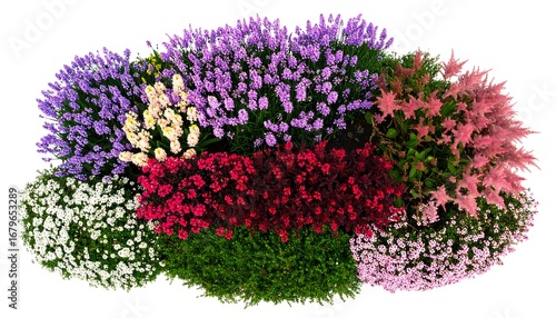 Colorful flowerbed arrangement