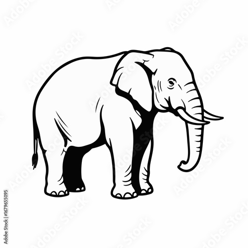 Black and White Elephant Illustration