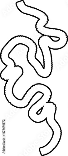 Expressive irregular line with a sense of motion, featuring energetic undulating strokes in a freeform style.
