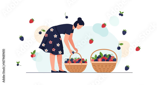 Woman Gathering Berries From Plants Into Baskets During The Summer Season