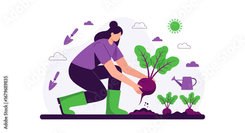Woman Harvesting Beetroot From Her Garden Illustrative Design In Flat Illustration Style