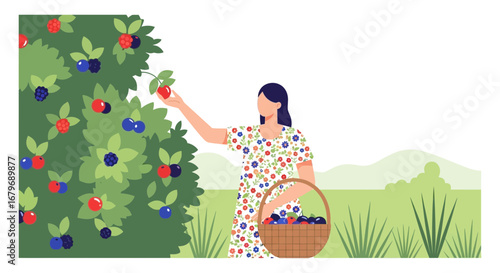 Woman Harvesting Berries from Bush in Peaceful Orchard with Basket