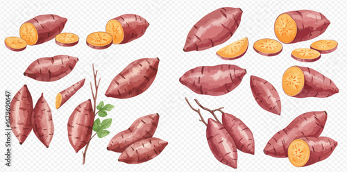 A collection of watercolor sweet potatoes, shown whole, halved, and sliced, isolated on a transparent background.