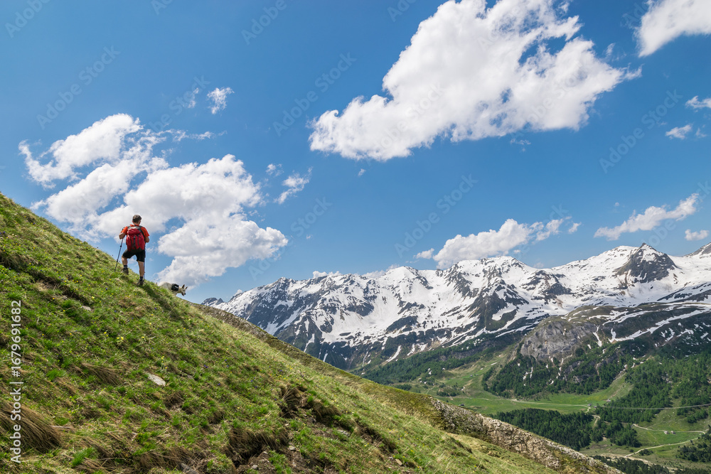 Obraz premium Trekking sulle Alpi Svizzere
