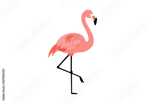 Pink Flamingo Illustration Standing on One Leg.