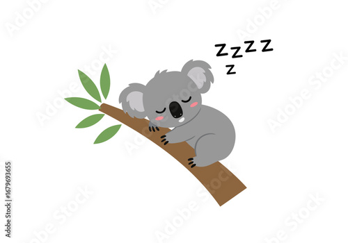 Sleeping Koala Cartoon on Eucalyptus Branch Illustration.