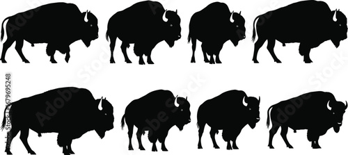 American bison animal silhouette vector set with multiple poses and side profiles for wildlife art, nature illustration, design, and educational projects