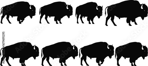 Bison animal silhouette vector set showing multiple poses and side profiles for wildlife design, nature illustration, animation, and educational graphic projects