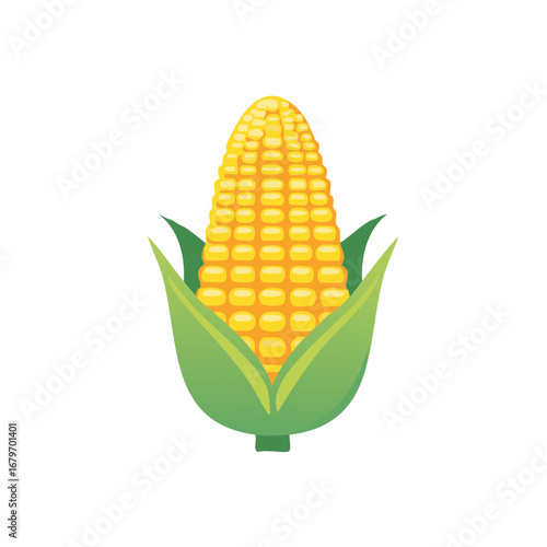 Sweet Corn on the Cob Vegetable with Green Husks Vector Icon Illustration