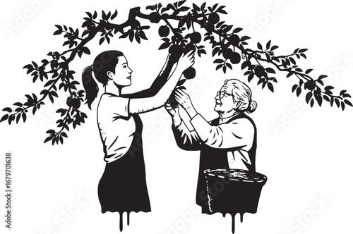 Generational apple harvesting scene under laden branches illustr