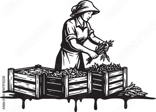 Hand-Drawn Illustration: A Woman Sorting Harvested Crops with Me