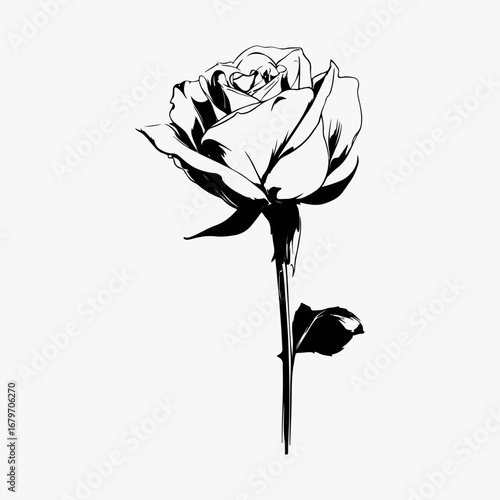 Rose Single Icon Symbol Isolated Graphic Concept, Rose Lover Vintage Retro Black Graphic Illustration Design Clothing