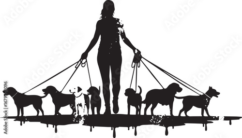 Silhouette of a dog walker with multiple dogs on leashes in blac