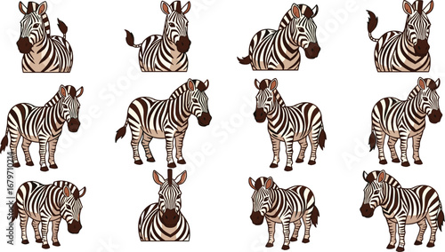 Collection of cartoon zebras in various poses and angles. Wildlife, animal, safari, nature, mammal, zoo, stripes, illustration, cute, funny.