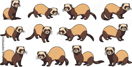 Cartoon ferrets in various poses and expressions. Animal illustration, mammal, cute, pet, wildlife, nature.