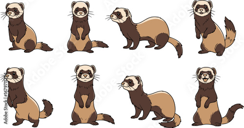 Ferret cartoon illustration collection with various poses. Playful, cute, animal, pet, mammal, standing, sitting, drawing