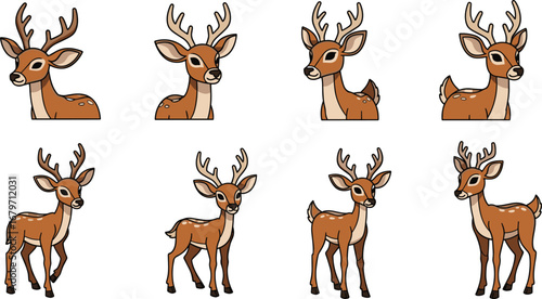 Cartoon deer poses in various stances. Wildlife, animal illustration, woodland creatures, nature, forest.