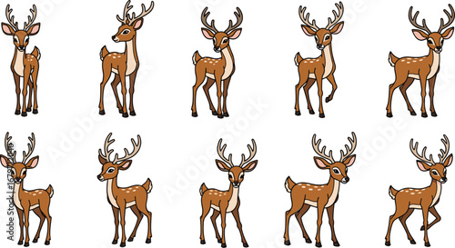 Cartoon deer illustration collection. Wildlife art, animal vector, fawn, reindeer, woodland character, mammal, wildlife, cute creatures.