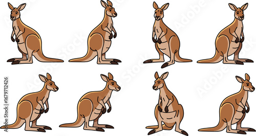 Kangaroos standing and sitting, eight animals. Mammals, wildlife, fauna, marsupial, cartoon, australia, nature, illustration, cute, art, character