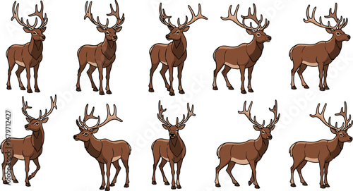 Group of illustrated cartoon deer. Wildlife, nature, antlers, animal, mammal, standing, forest, stag, reindeer, christmas, wildlife, brown