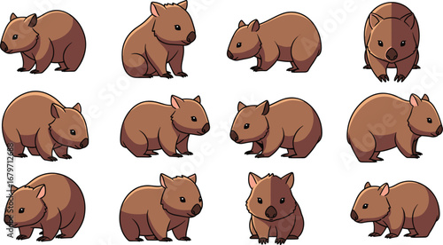 Cartoon wombat illustrations on white background.  Australian wildlife, marsupial, cute, animal, illustration, fauna