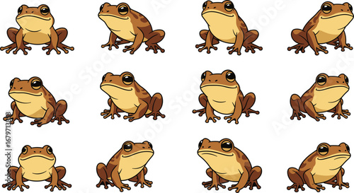 Cartoon frogs sit in multiple poses, cute amphibians. Wildlife, nature, animals, drawing, illustration, creature, amphibian, rainforest, cartoon, pond