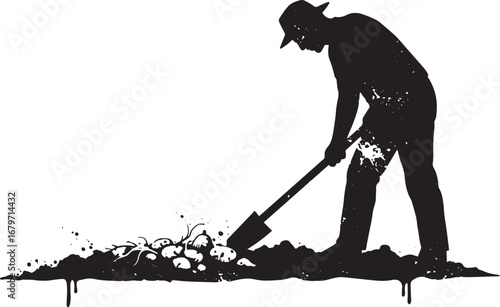 Silhouette of a farmer digging potatoes into the soil with spade