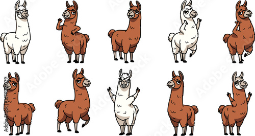 Cartoon llamas stand smiling in different poses. Cute, funny, animal, character, happy, fun, whimsical, design, graphic, illustration, art