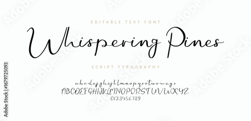 whispering Pines logo signature Font. Calligraphy Logotype Script Brush Font Type Font lettering handwritten. vector illustration 
