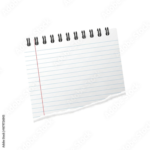 A torn piece of lined paper from a spiral notebook with black rings on a image view on transparent background