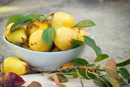 Pears in a bowl, sweet organic pears