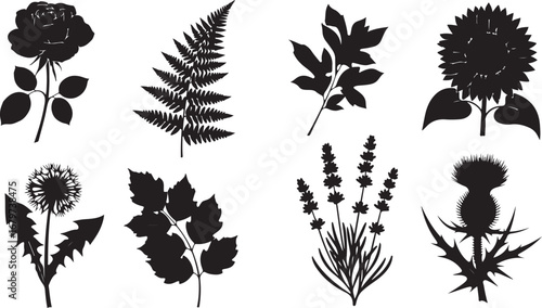 Botanical Silhouettes Variety of Plants and Flowers Collection of Floral Shapes for Creative Projects Nature Inspired Design