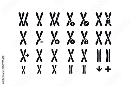 vector solid black filled icons Skis (Basic) skis icon skis new skis old skis valid skis invalid skis active skis inactive skis add skis remove skis confirm skis cancel skis open skis.