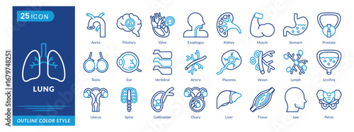 Lung icon set collection in outline color style. an icon pack contain Aorta,Pituitary,Valve,Esophagus,Kidney,Muscle,Stomach,Prostate,Testis,Eye,Vertebral