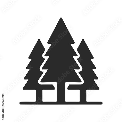 Silhouette of three coniferous trees on white background