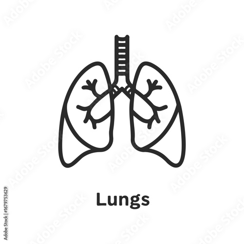 Black and white icon of human lungs with bronchi