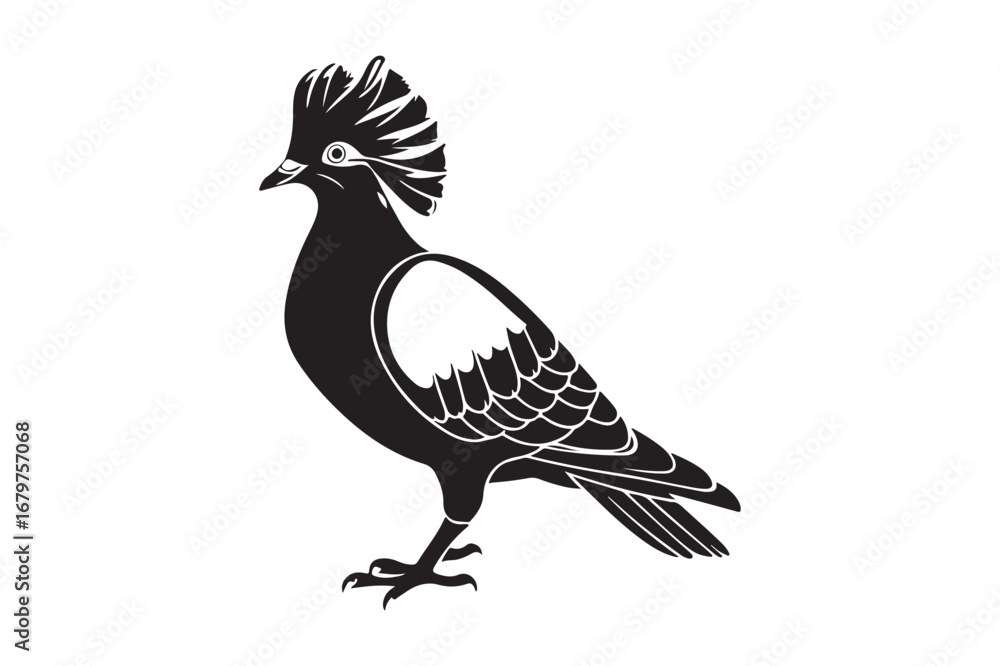 Obraz premium Stylized black and white illustration of a crested bird