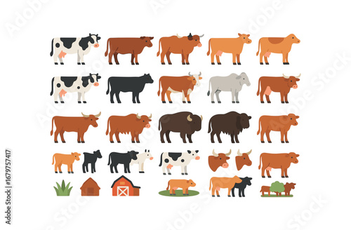 colorful flat vector icons Cow (Types) cow dairy cow beef cow ox cow heifer cow jersey cow holstein cow angus cow hereford cow brahman cow simmental cow longhorn cow highland cow buffalo.
